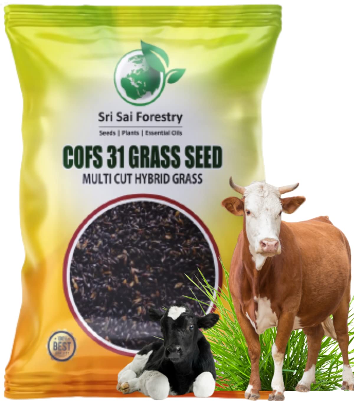 SRI SAI FORESTRY COFS 31 Grass Seeds for Animal Fodder - Multi Cut Tall Growing Grass (250 g) (B09T75NG5Q) Amazon Price History, Amazon Price Tracker