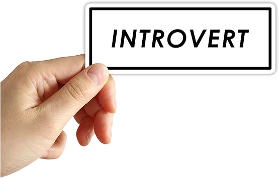 Introvert Sticker, Laptop Sticker, Water Bottle Sticker, Phone Sticker, Window Sticker, Funny Sticker, Im Shy Sticker