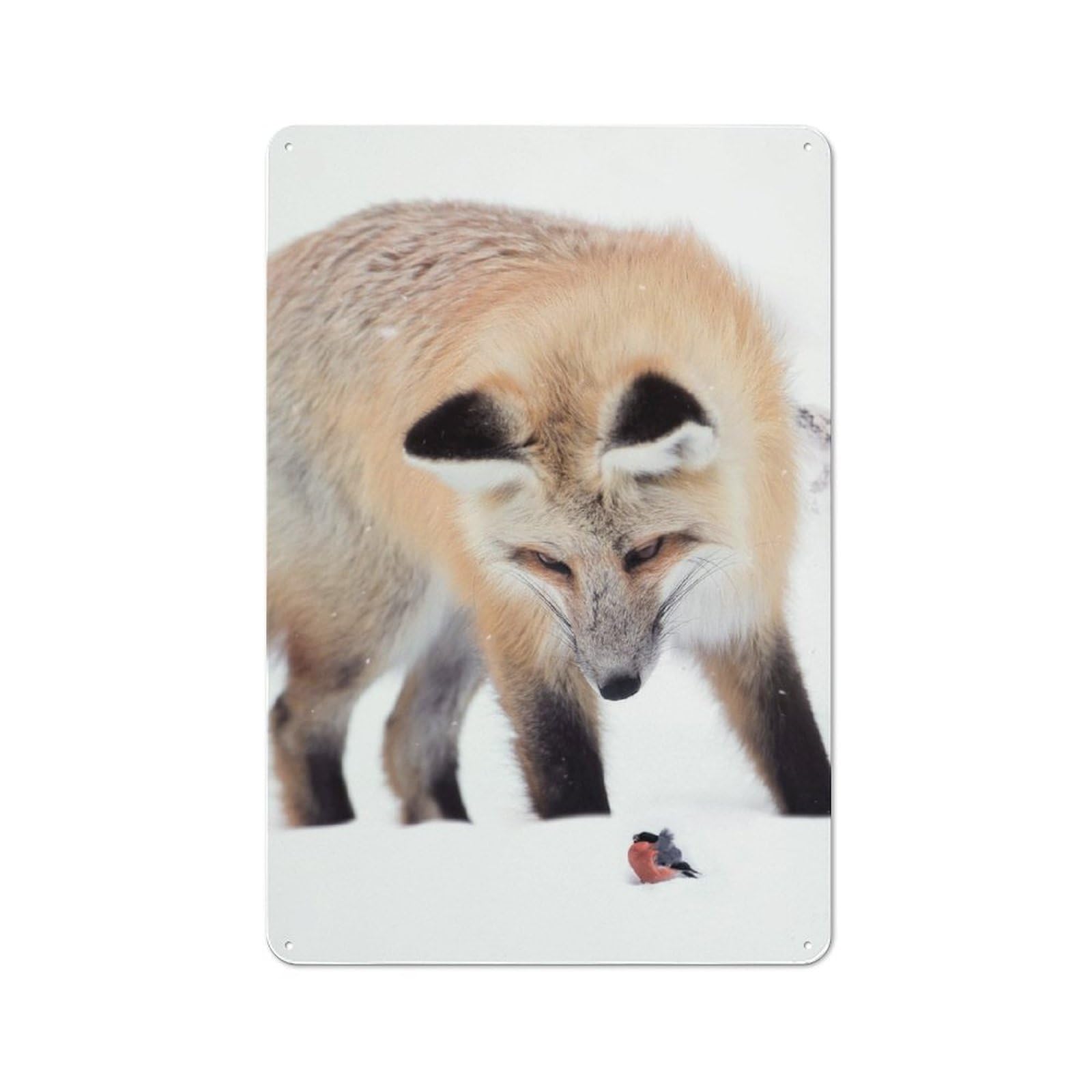 Junmoney The Fox And The Bullfinch Tin Wall Plaque 30X20cm With For Hobby Room Or Studio, For Metal Sign Collectors, For Kitchen And Home Bar Decor