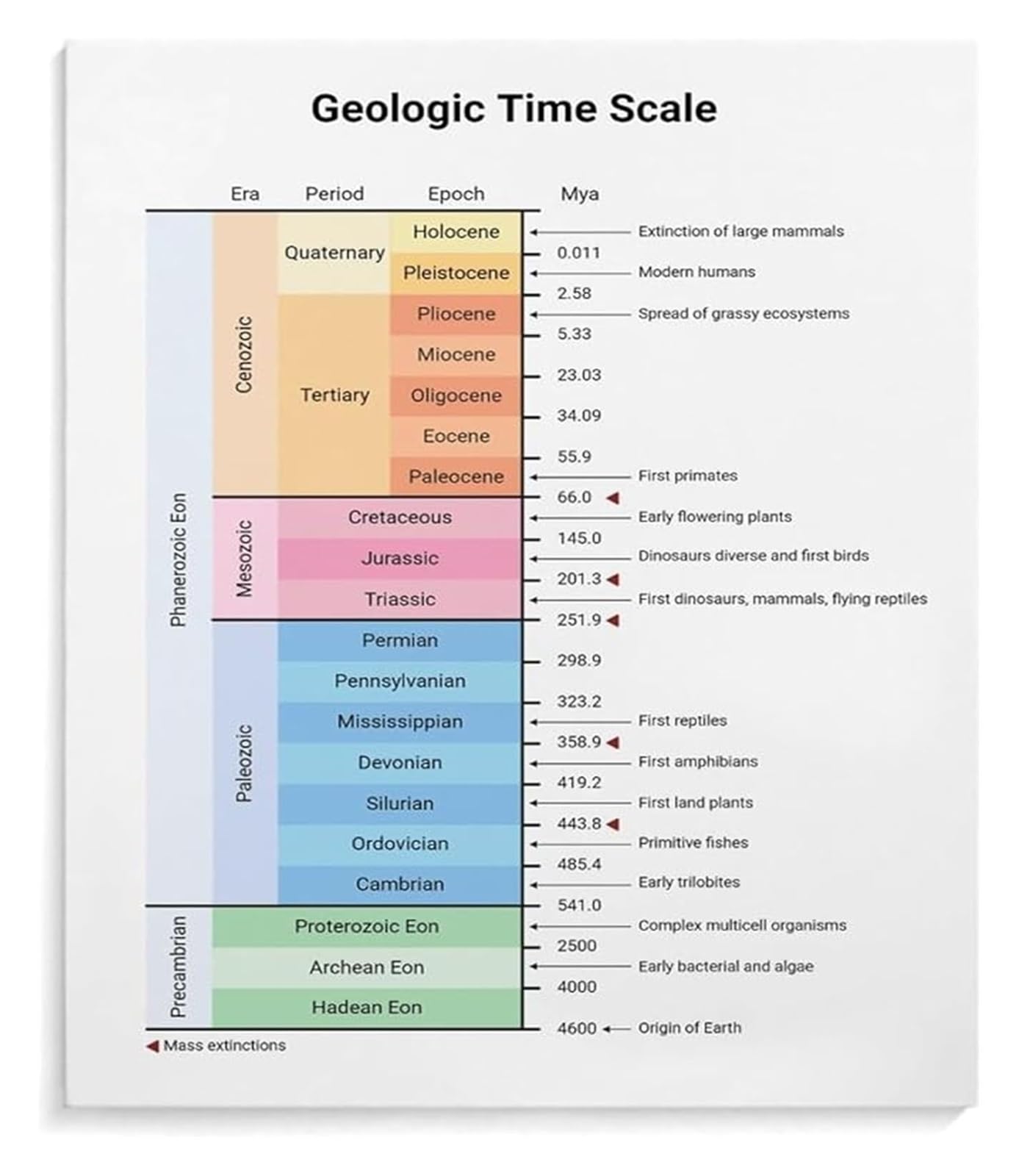 MQXFCZUX Earths Geologic Time Scale History Chart Educational Poster For Science Classroom Museum Exhibit Den Library Decor