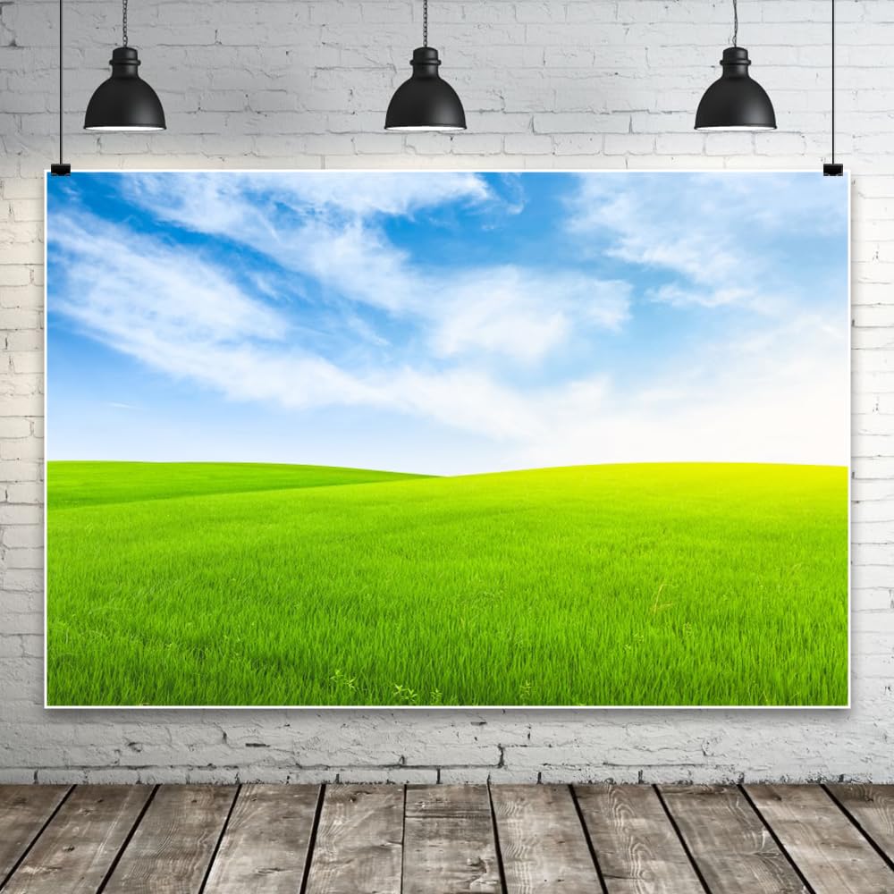 6 x 3 m pola zielone trawniki tło wiosenne łąki przezroczyste niebieskie niebo białe chmury wschody słońca fotografia tło na zewnątrz noworodek baby shower tło ślub urodziny przyjęcie