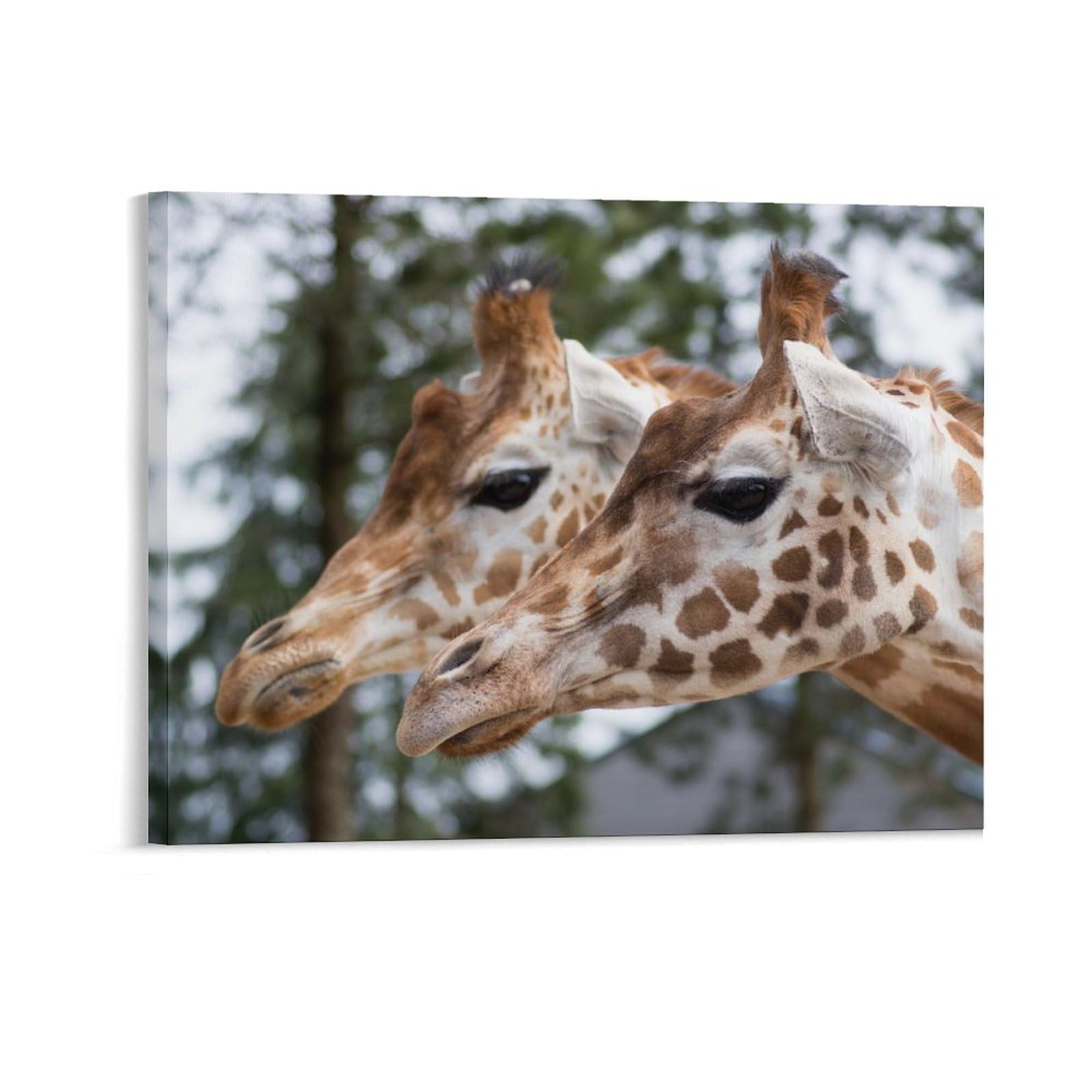 Giraffe Animal Canvas Paintings Wall Art Modern Pictures Print on Canvas Wall Decor Framed Poster Artwork for Home Bedroom Holiday Wall Decoration