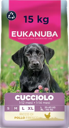 EUKANUBA Cibo secco per Cuccioli con pollo fresco per razze di taglia grande - Alimento secco premium per Cani giovani, 15 kg