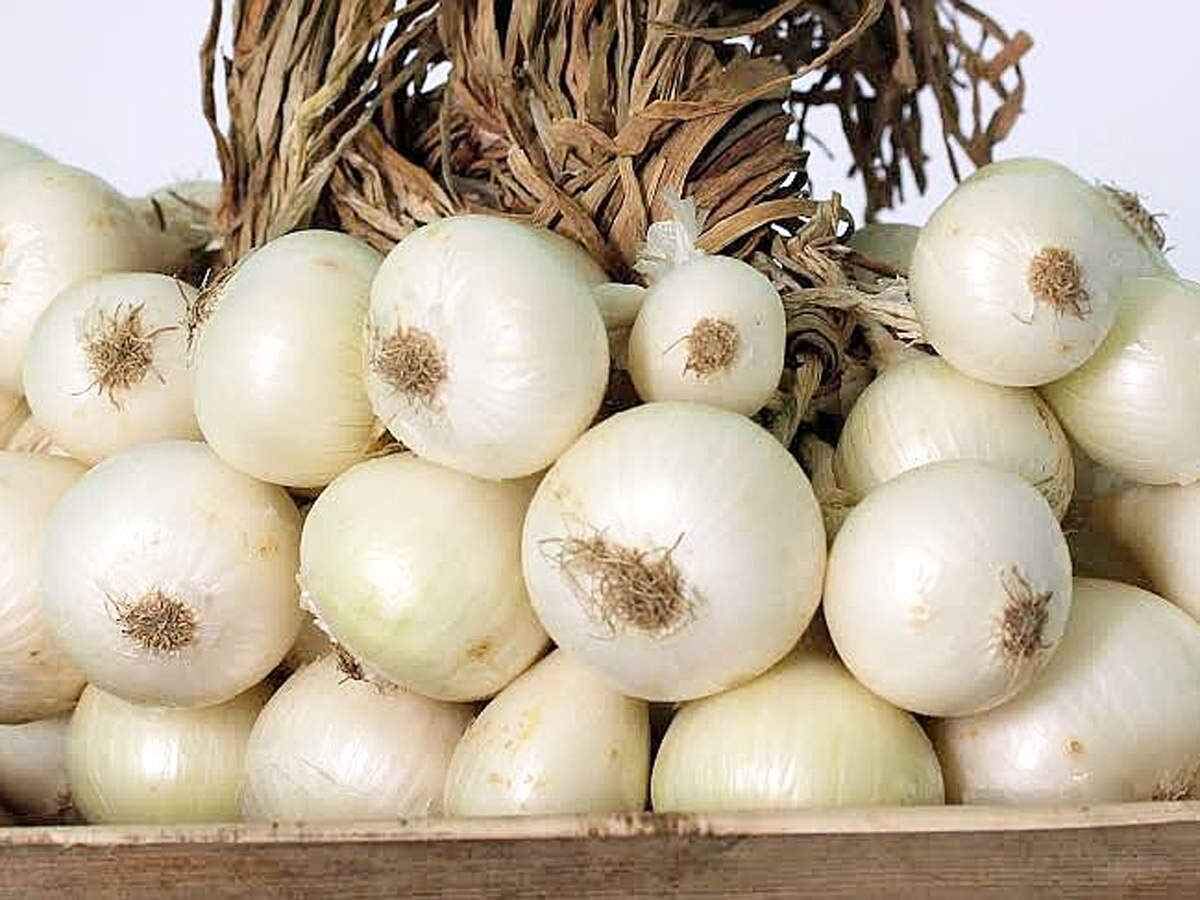White Onion Vegetable Seeds (B07YGN7VNW) Amazon Price History, Amazon Price Tracker