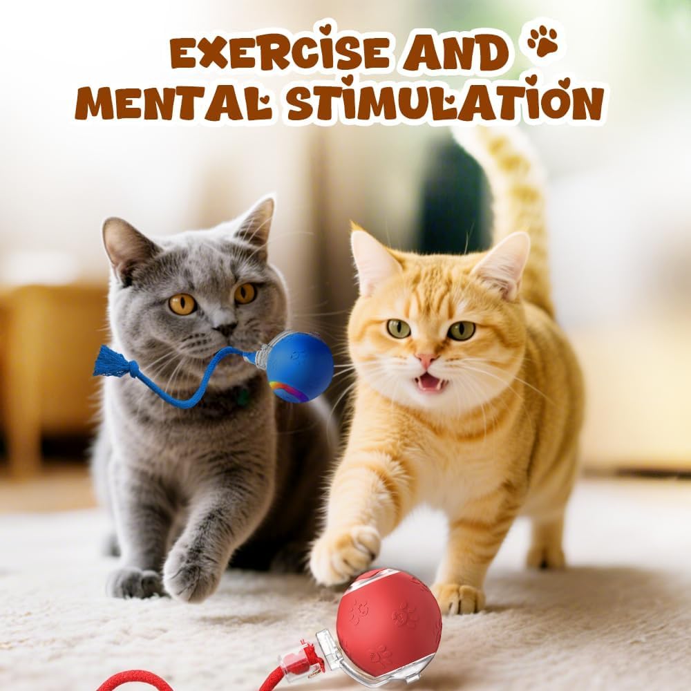 Juguetes interactivos para gatos, juguete multifuncional para gatos para uso doméstico, recargable para propietarios de mascotas, juguete portátil para gatos (rojo, azul y gris)