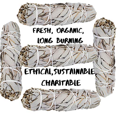 SAGE SMUDGE Sticks, 5 White Sage Bundles Bulk Refill & Shaman Smudge Kit Storage Bag! California White Sage Smudging Sticks, Organic Freshly Dried Incense Sage Stick Set, Sustainable! (5, Large Bag) - Thumbnail 2