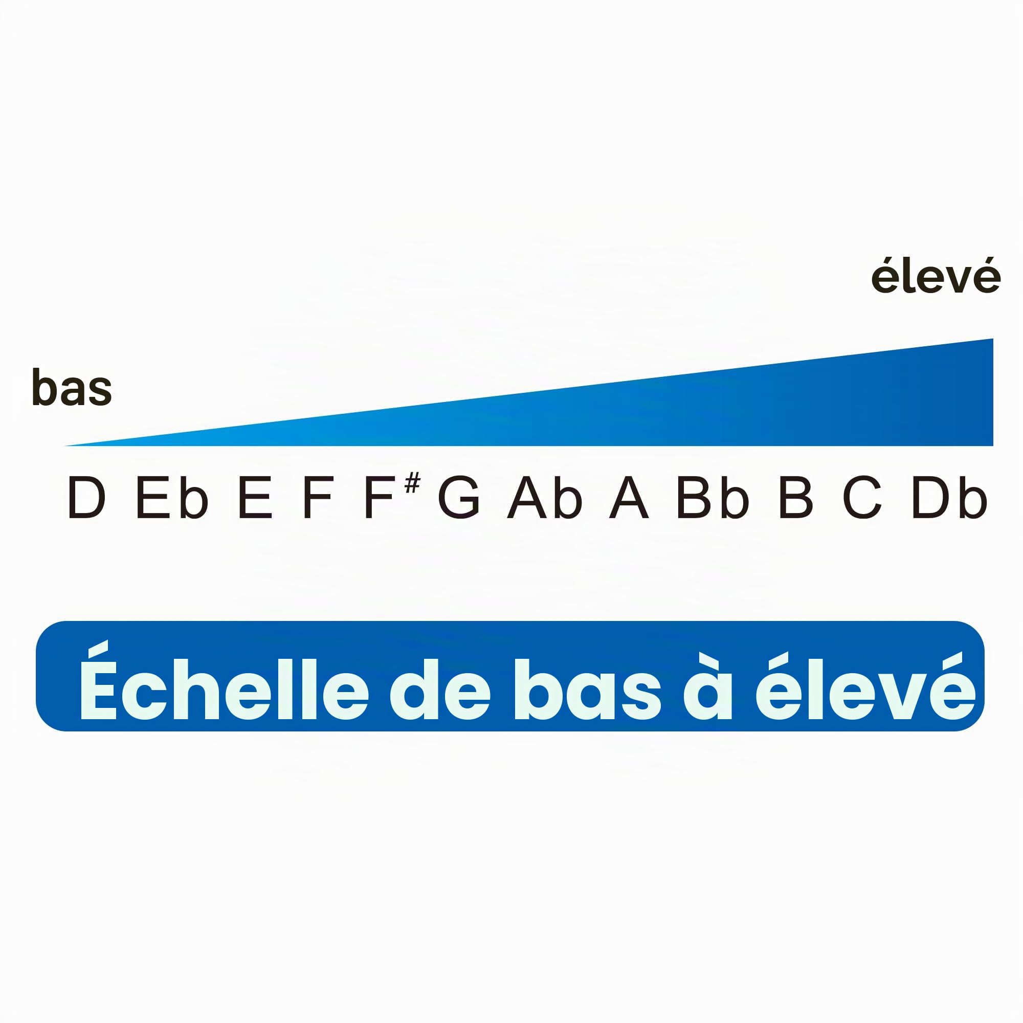EAST TOP Forerunner 2.0 Sans Valves Harmonica chromatique à 12 trous 48 tons touche en C pour adultes, débutants et étudiants