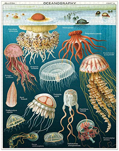 Cavallini Papers & Co. Jelly Fish 1,000 Piece Puzzle, Multi #TOP1