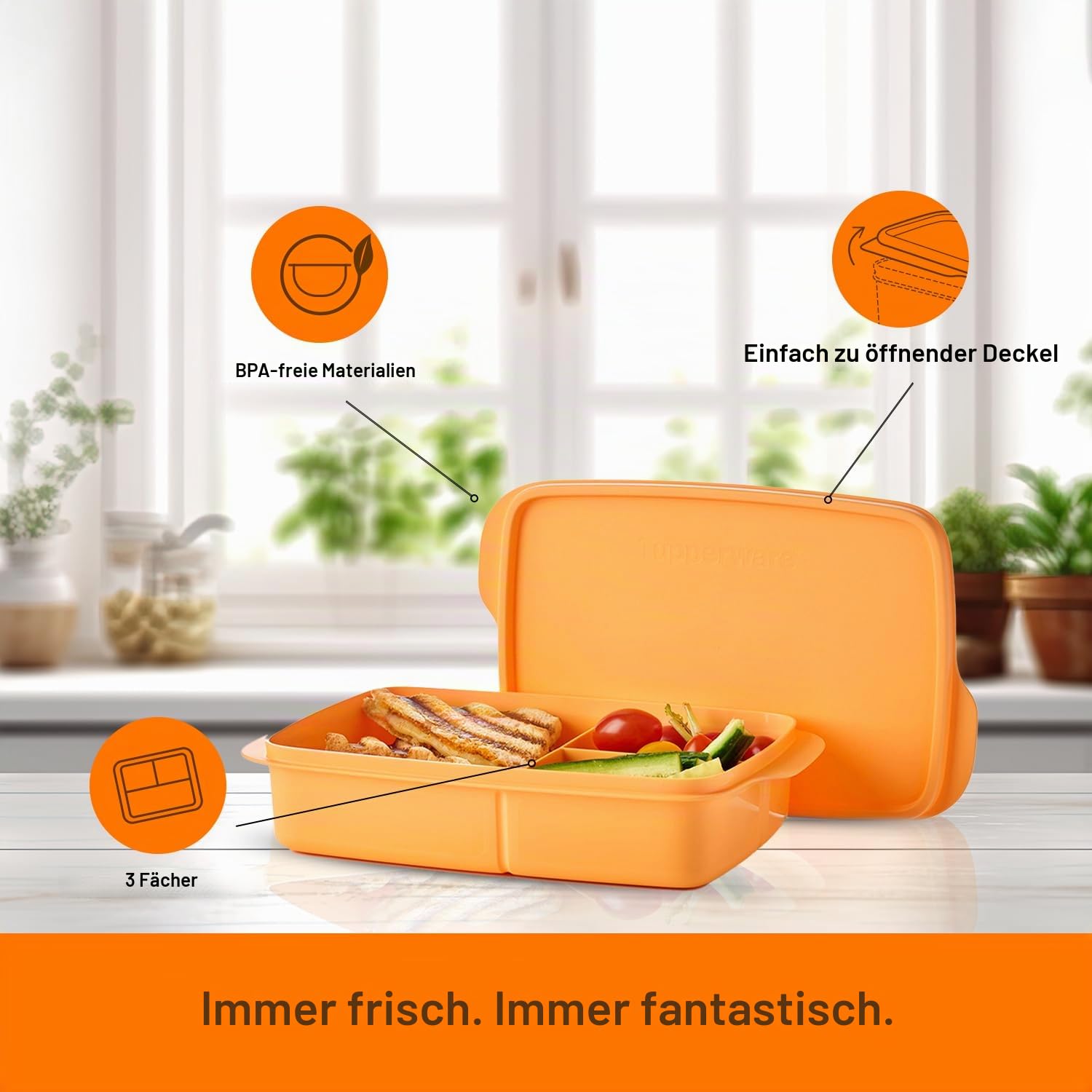 Tupperware Lunch-It Portion & Go Lunchbox für Lebensmittel, spülmaschinenfest, BPA-frei (4 Tassen/1 l)