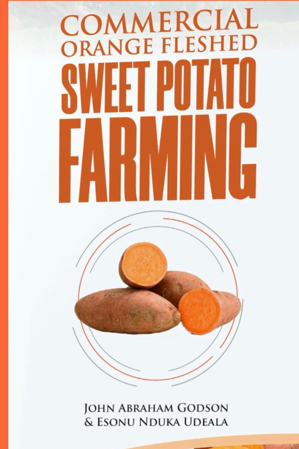 Commercial Orange Fleshed Sweet Potato Farming