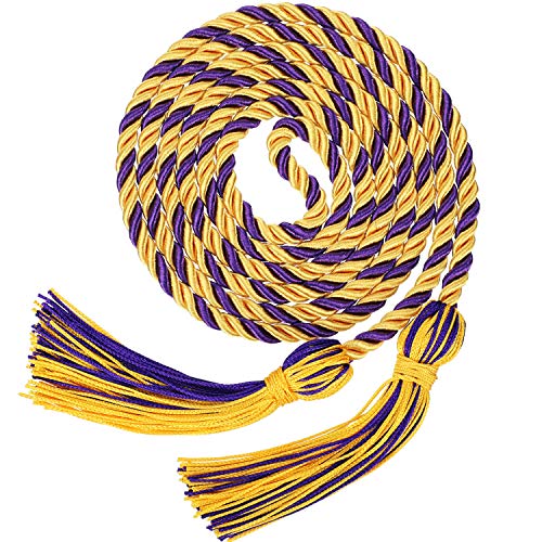 Image of TecUnite Graduation Cords Honor 2026 Polyester Yarn Decorative 67 inch Long Garland Twist Ties with Tassels for Bachelor Gown Graduation