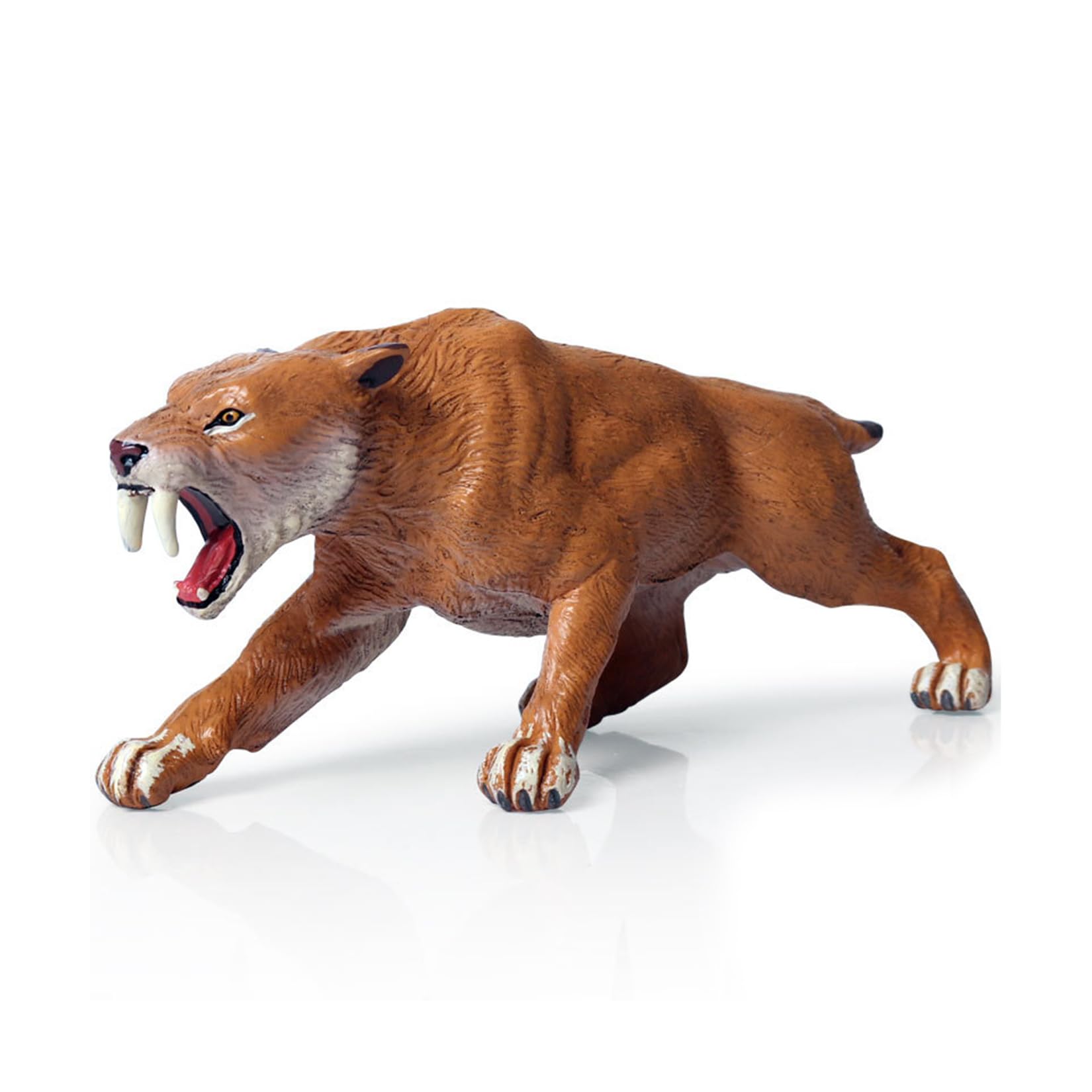 Amazon.co.jp: MAIBED マカイロドゥス 剣歯虎 フィギュア スタチュー 