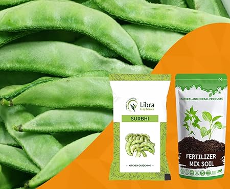 Kitchen Garden Seeds | Dolichos Bean | Home | Farming | Vegetable | Hybrid | Planting | Terrace | Balcony | Eating | Hyacinth Bean | Lablab Purpureus | Egyptian Bean | Valor - 25 Gram : 180 Seed