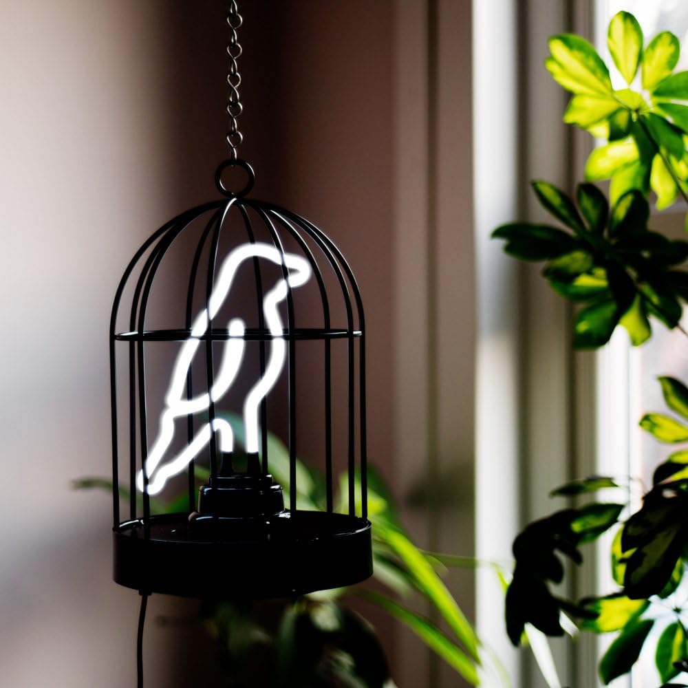 Suck UK | Neon Bird Lamp | USB & Battery Powered Desk Lamp | Black Metal Birdcage Night Light
