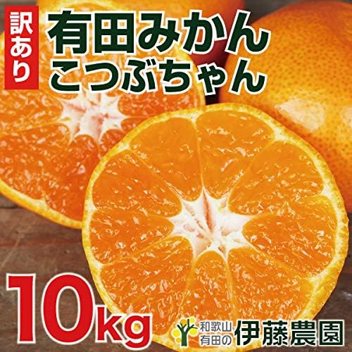 Amazon みかん 訳あり 小粒 和歌山県 有田 国産 みかん 訳あり 箱詰め 伊藤農園 こつぶちゃん 送料無料 柑橘 人気 甘い 和歌山 美味しい 果物 セール 直販 家庭用 小玉 業務用 ギフト 箱 買い サイズ S Ss Sss