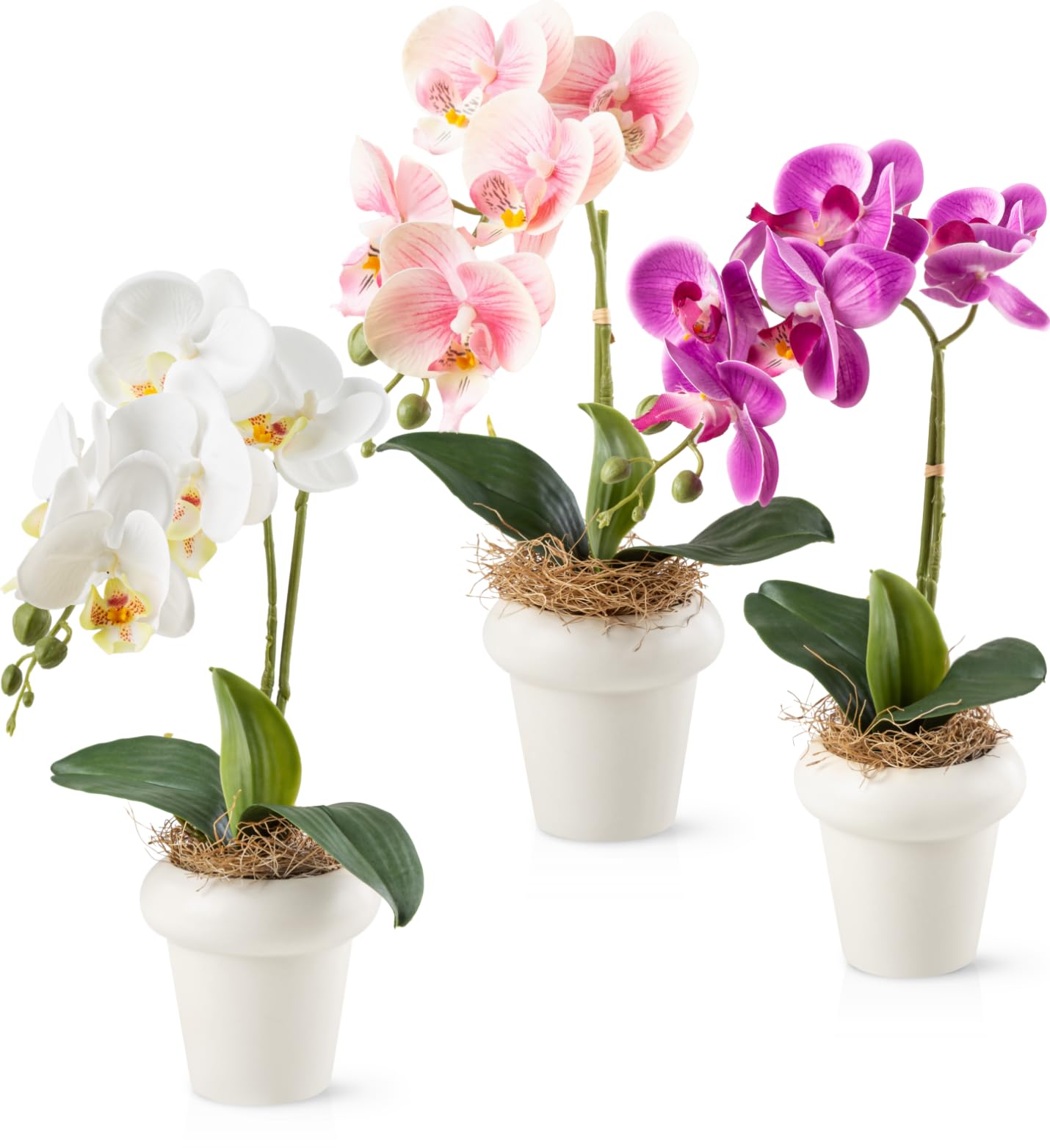 PASCH Orchidées artificielles dans des pots en céramique brillante (36 cm) | Fleurs artificielles en pot | Fleurs artificielles comme de vraies orchidées artificielles en pot (lot de 3)