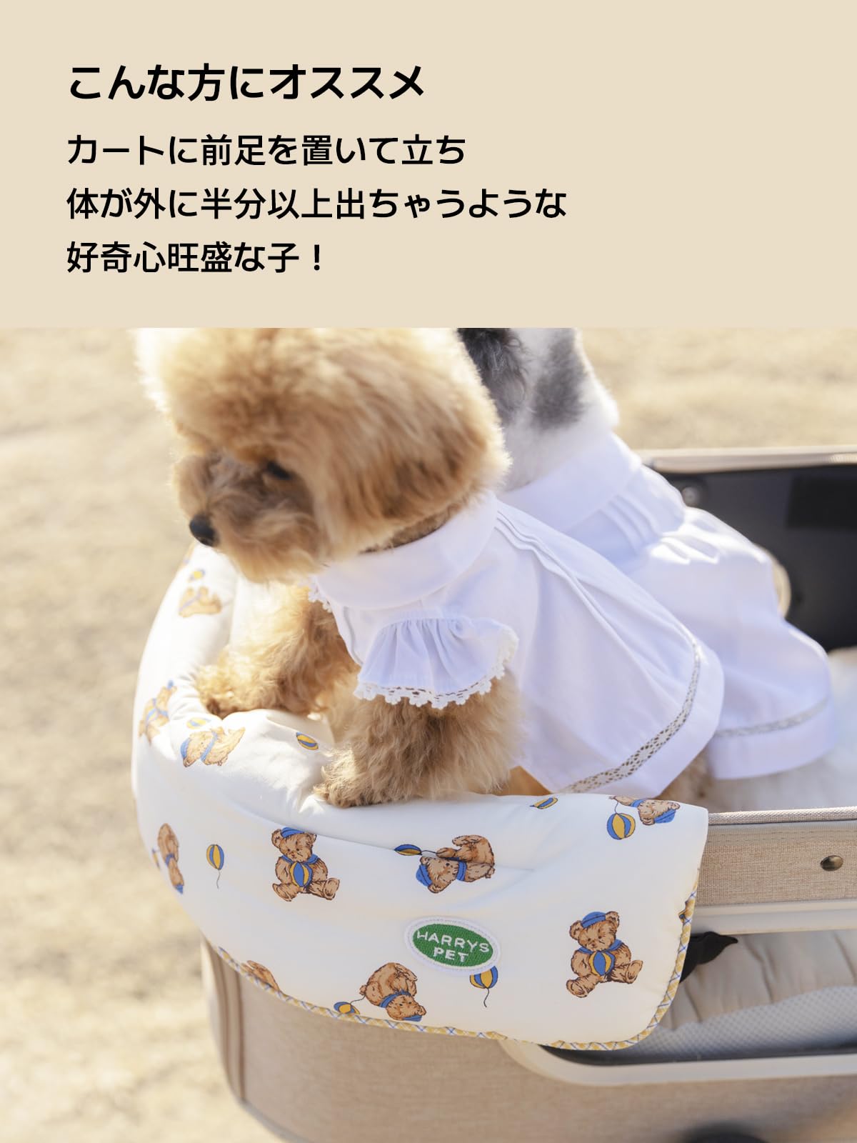 Amazon | ペットカート用 あごのせクッション コンフォーター ベア