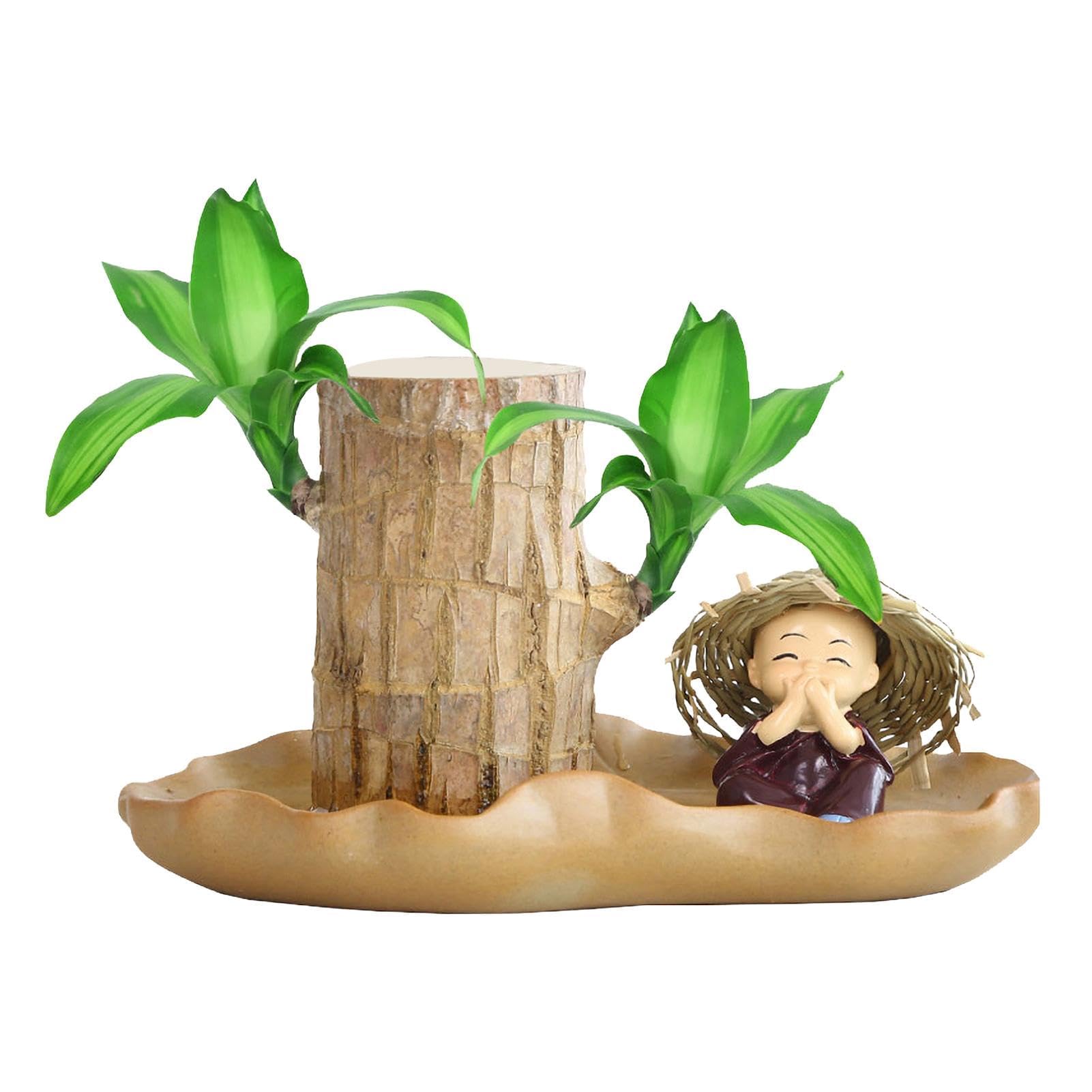 TreavilBrazilian Lucky Wood, Brazilian Lucky Wood Plant Brazilian Wood Hydroponic Plant, Air Purifying Plants Indoor,Tree Stump Desktop Plants, Lucky Wood Live Plant for Indoor Desktop Decor (1PCS)