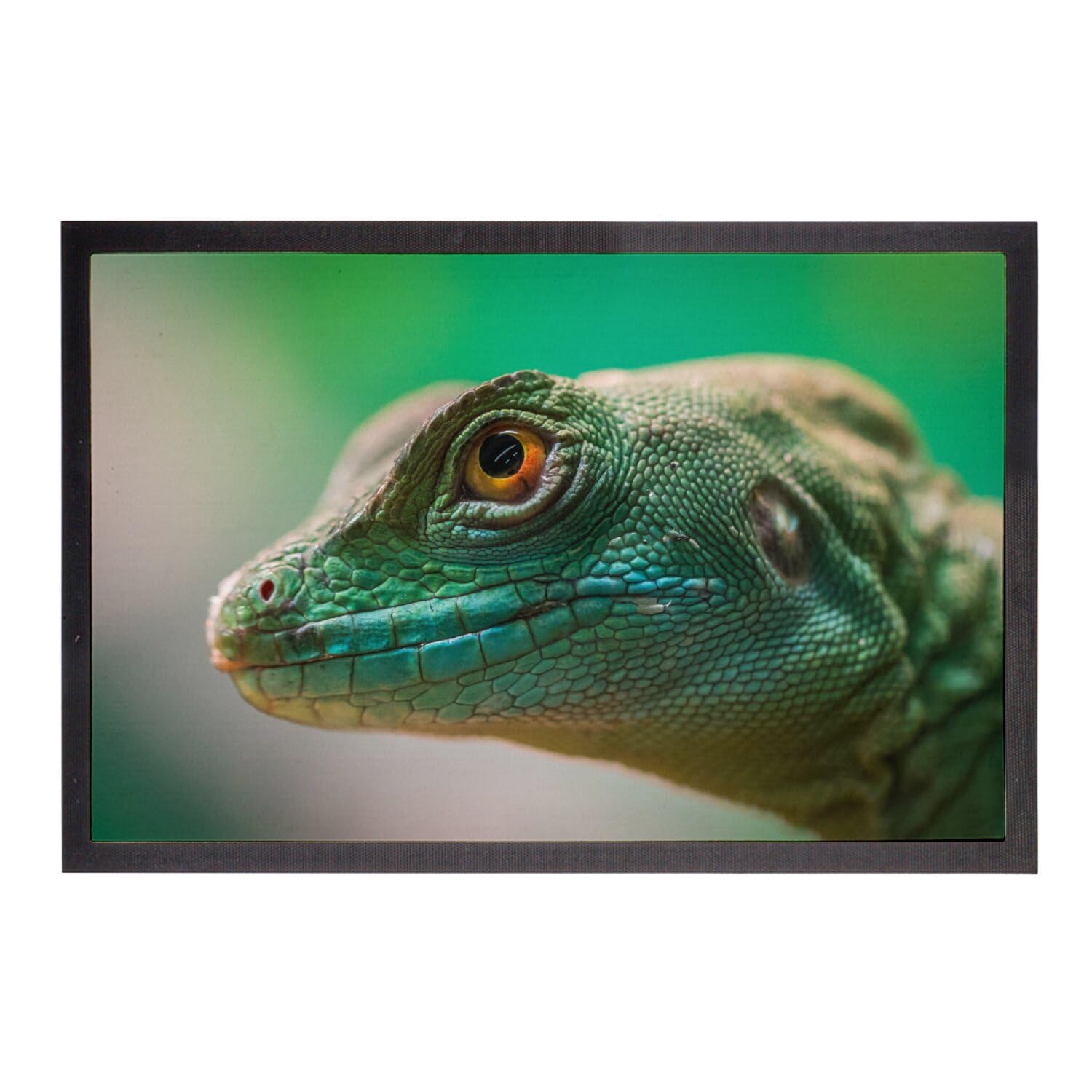 Paillasson Basilic à Plume Lézard Vert Fabulous décoratif pour entrée chic 75x50cm