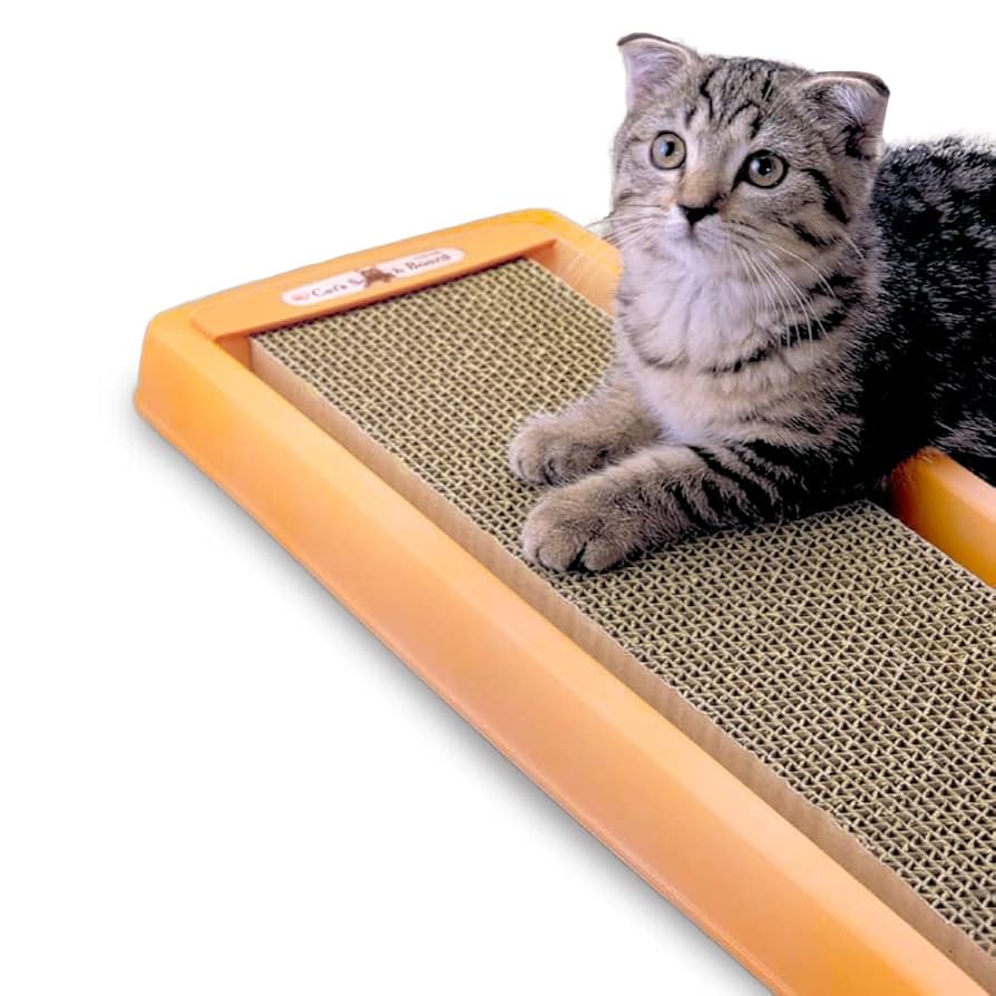 きつこね キャットが奏でる、ロックな爪研ぎ CAT STAR☆（キャットスター