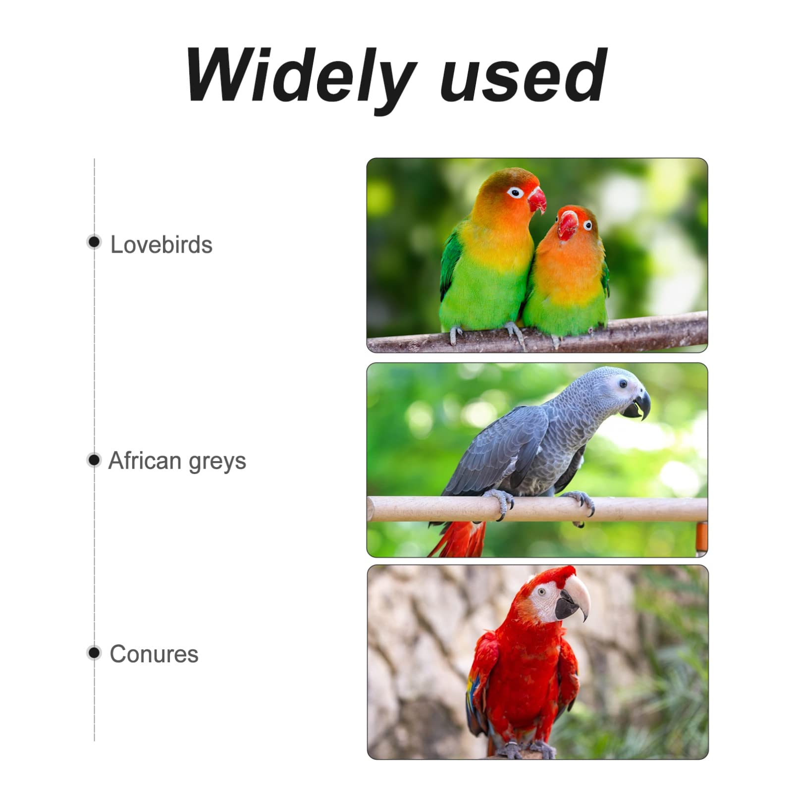 BESPORTBLE 2piezas Juguete De Columpio para Aves De Algodón Anillo para Aves Juguete Colorido para Periquitos y Cacatúas para Entretenimiento Cuidado Salud Pájaros Aleatorios