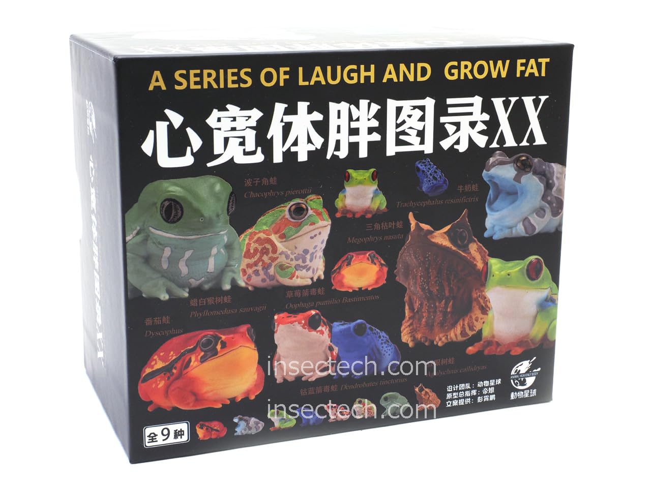 Amazon.co.jp: 【動物の惑星】アカメアマガエル フィギュア完成品