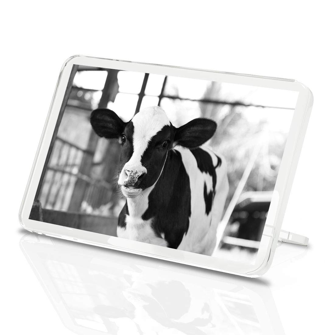 1 x Fridge Magnet - Baby Calf Cow Farm Animal #35582