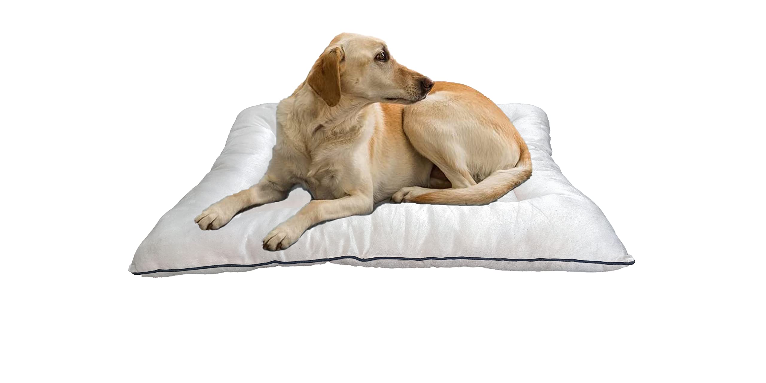 See full amazon price history chart for Furry Land XL Dog Bed Pillow for XL Size Dog Mat Shape Cream Color for Sofa, car, Floor and Multipurpose use Animal, Puppy, Kitten and Pet Pillow Mat (XL, Cream) Furry Land XL Dog Bed Pillow for XL Size Dog Mat Shape Cream Color for Sofa, car, Floor and Multipurpose use Animal, Puppy, Kitten and Pet Pillow Mat (XL, Cream) (B0CM9KTXVQ) Amazon Price History, Amazon Price Tracker