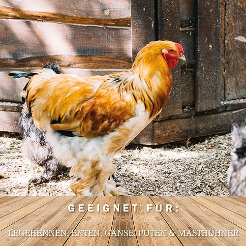 MeineHennen Müsli-Vital 30 kg, Premium Geflügelfutter für Legehennen, Enten, Gänse, Puten, Masthühner, Körnerfutter, Hennenfutter. Alleinfuttermittel für Geflügel