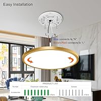 Vista 12 de 12 Inch Gold LED Ceiling Light, 3000K Warm White, 24W Gold Flush Mount Ceiling Light, 3200LM Round Low Profile Ceiling Lights for Bedroom, Living