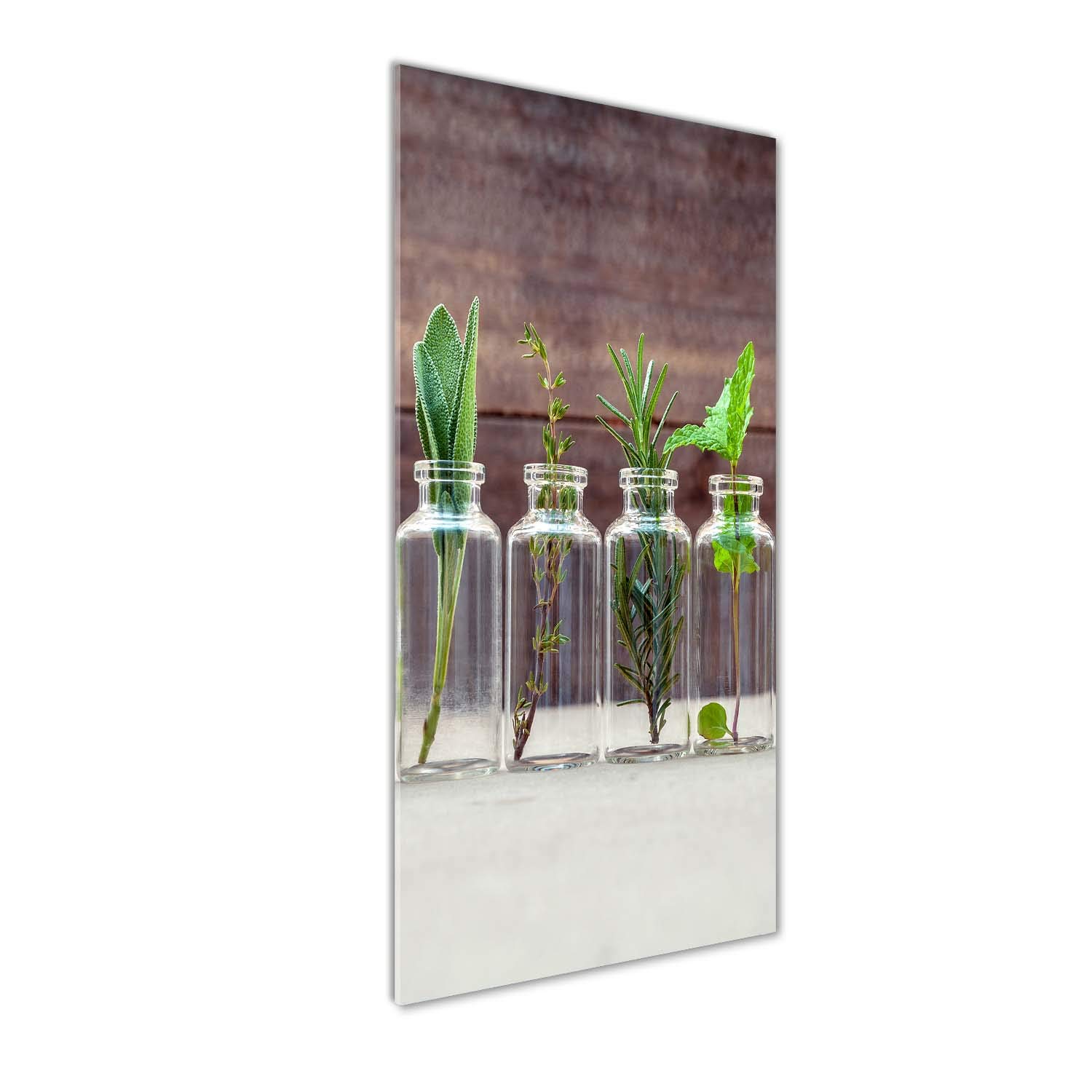 Image sur verre acrylique de plantes vertes pour décorer la cuisine