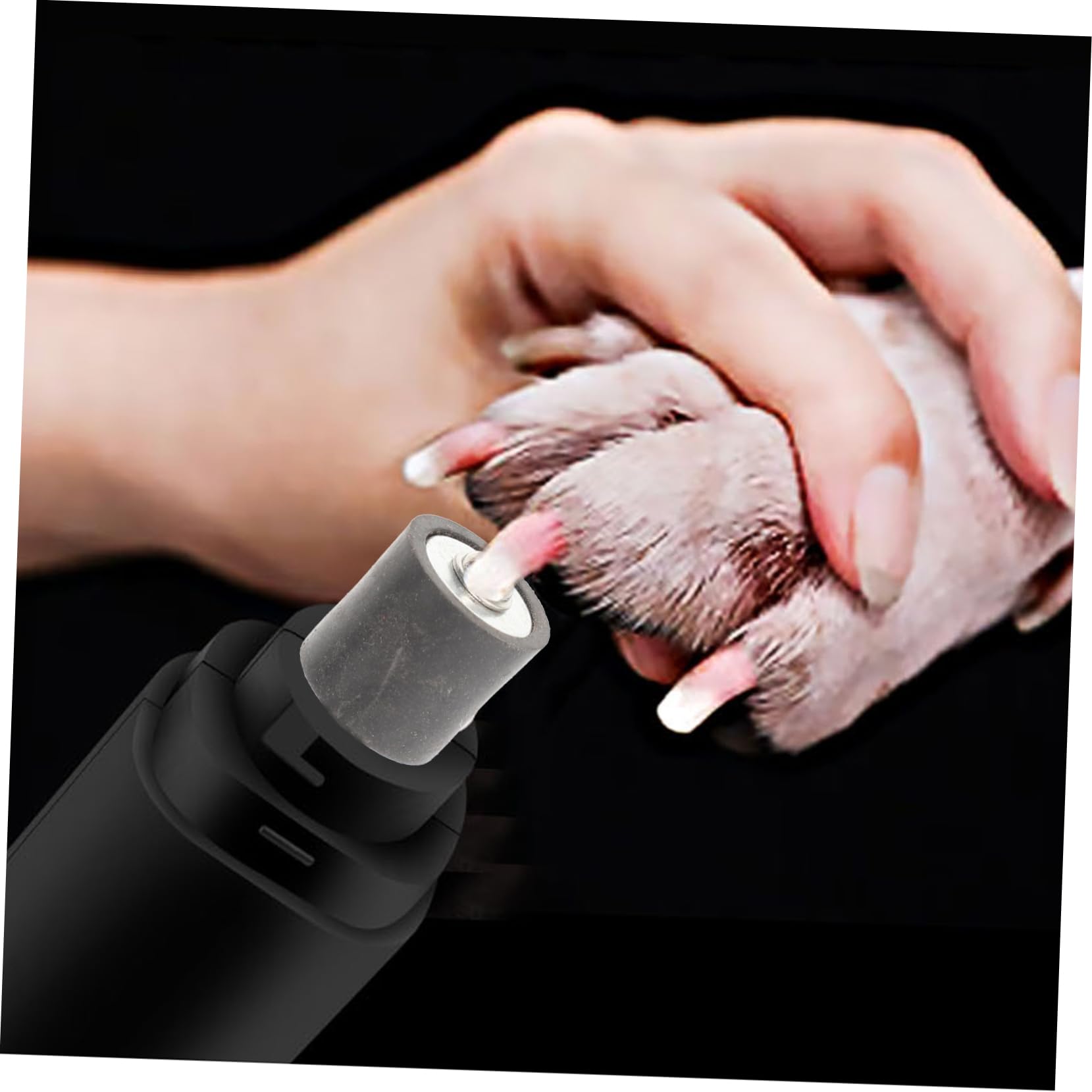 POPETPOP 3sets Kit Attrezzature per La Toelettatura Unghie del Cane Set per La Unghie Domestici Facile Usare