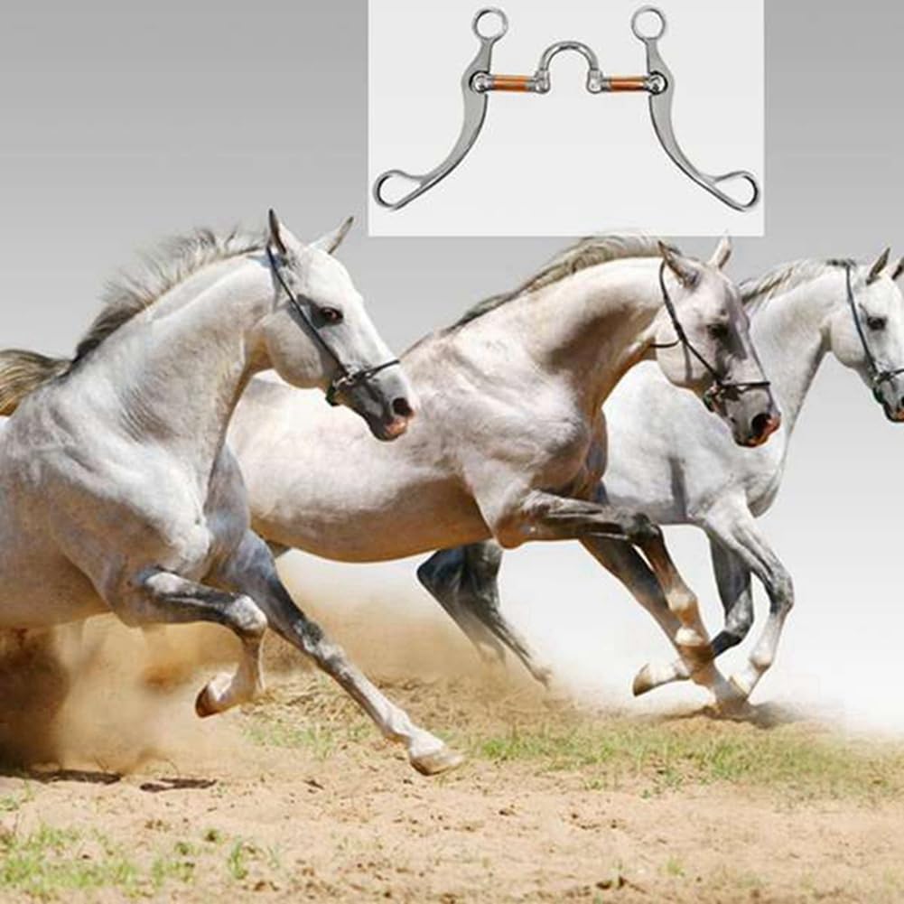 Orton Morso in acciaio inossidabile Morso per cavalli Morsi occidentali Snaffle Attrezzatura per addestramento per cavalli per allenamento della bocca Bit con porta in rame