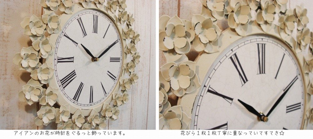 Amazon.co.jp: 【windfalls】デイジー・ウォールクロック【BM-51