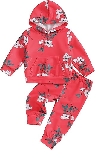 Karwuiio Conjunto de 2 piezas para bebé recién nacido, sudadera con capucha y pantalones, ropa de otoño e invierno