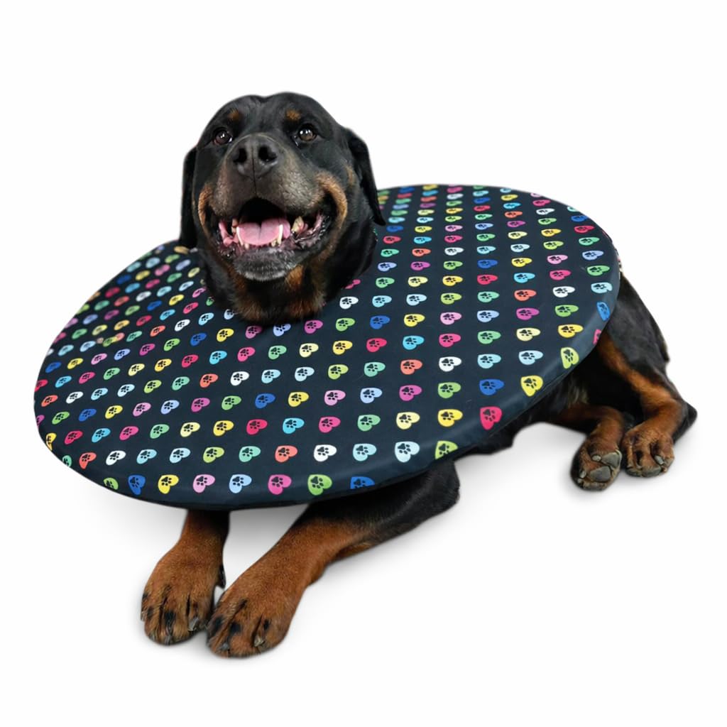 Premium Halskrause für Hunde – Weicher Hundetrichter als Alternative zum Plastikkragen, Komfortabler Schutzkragen/OP-Kragen für Hunde nach Operation (M)
