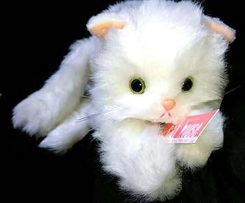 Amazon.co.jp: タグ付 70cm 猫 ねこ ネコ オオイケ ペルシャ猫