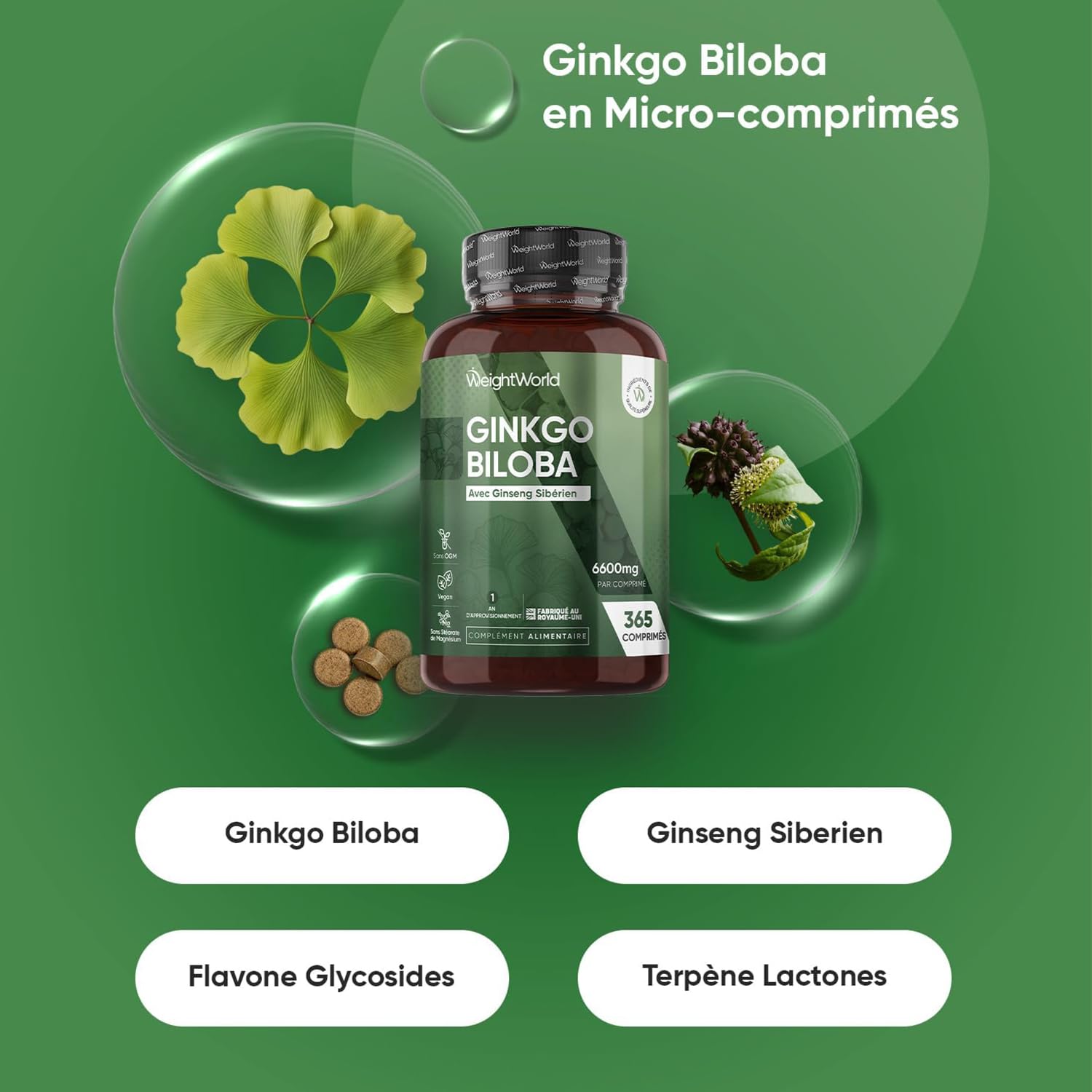 NAC Gélules & Ginkgo Biloba avec Ginseng Sibérien Micro-Comprimés