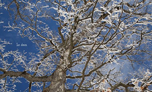 Best in Snow (Weather Walks) - Thumbnail 4