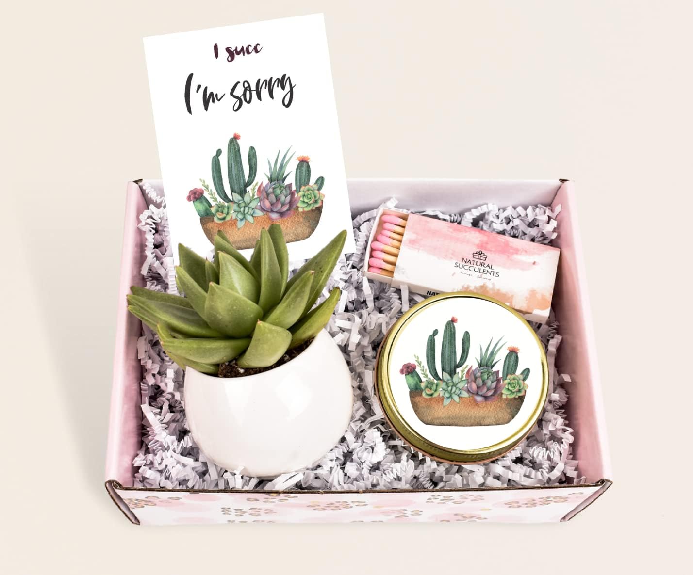 Gift for Women I SUCC I'm Sorry Succulent Apology Gift