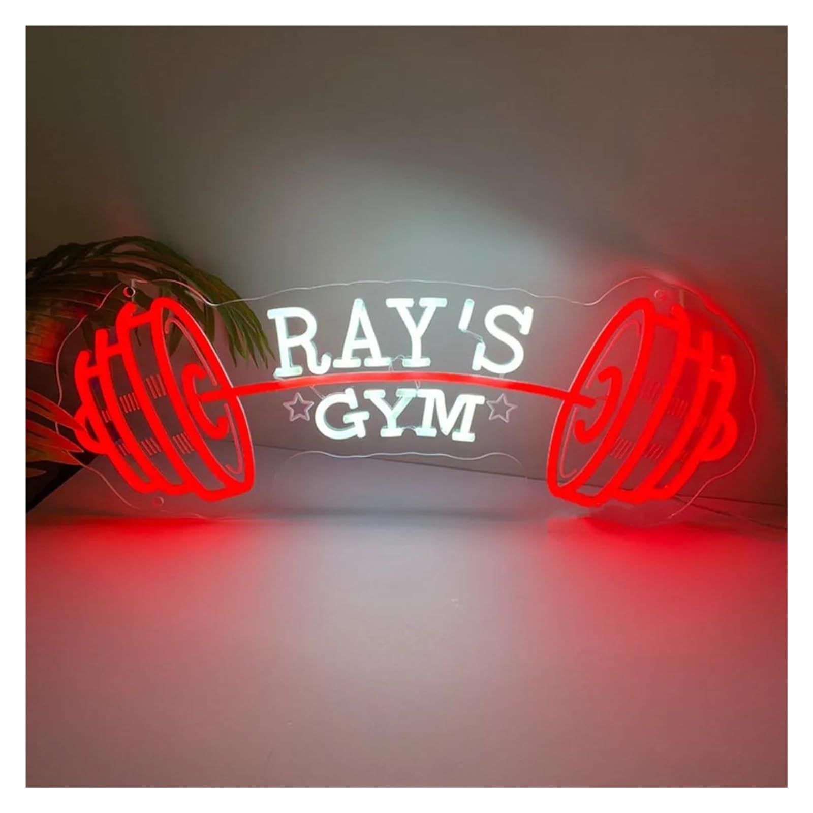 LEMST Signs Lamp Dumbbell Neon Sign, Gym Neon Wall Hanging, Fitness Lover, School Gym Wall Decor 50cm(D)