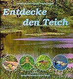 rohrkolben schilf  Entdecke den Teich