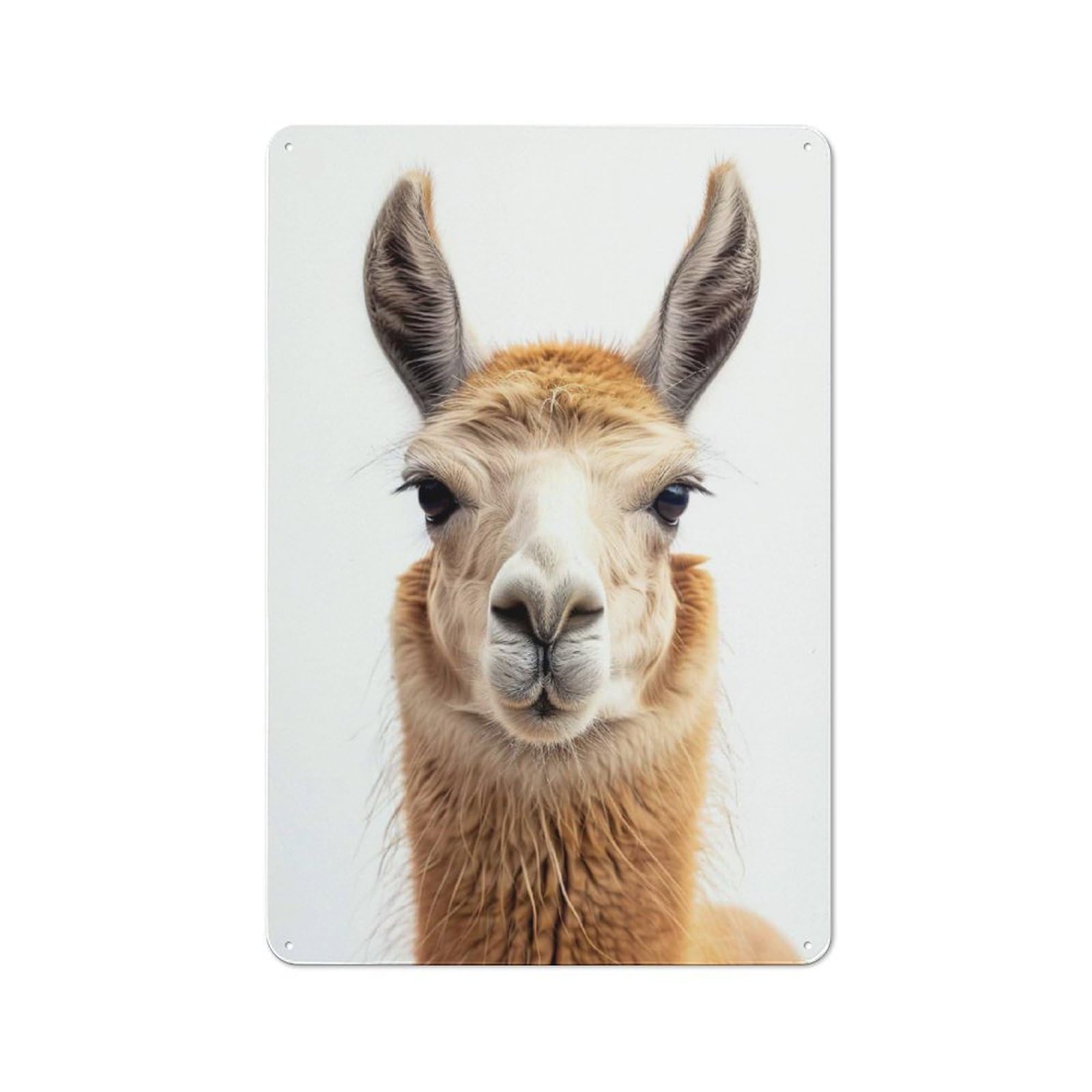 Junmoney Style-12 Llama Face Decorative Metal Sign 30X20cm, Country Style Bistro Wall Plaque For Kitchen, Cafe, Pantry Or Dining Room