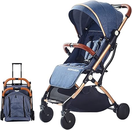 lightweight folding buggy