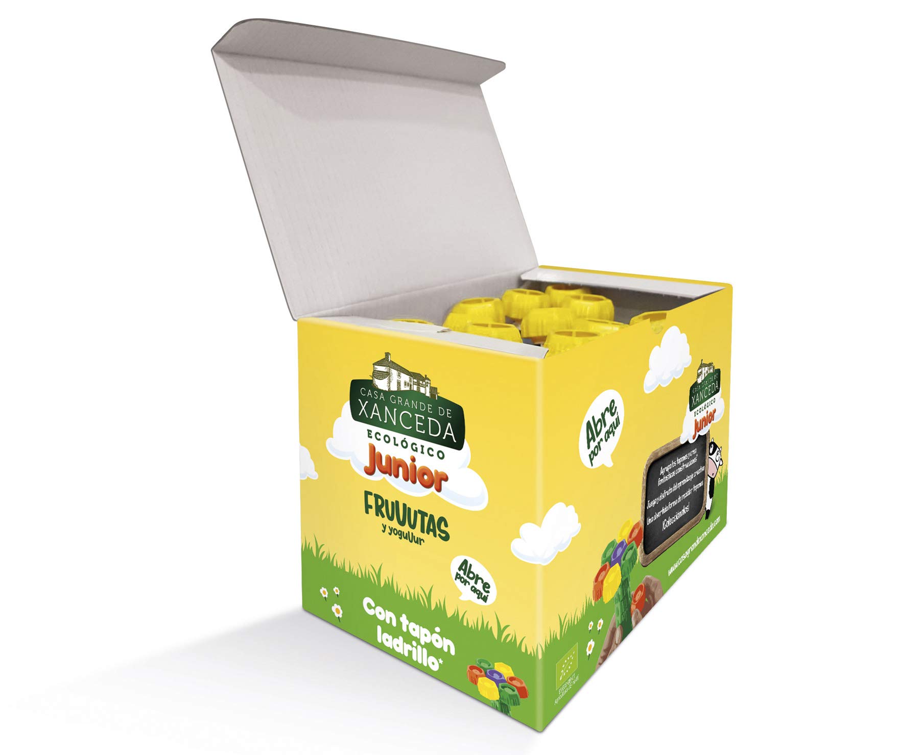 Casa Grande de Xanceda - Yogur ecológico de fruta ecológica Pack de 14 unidades (14 uds x90g)