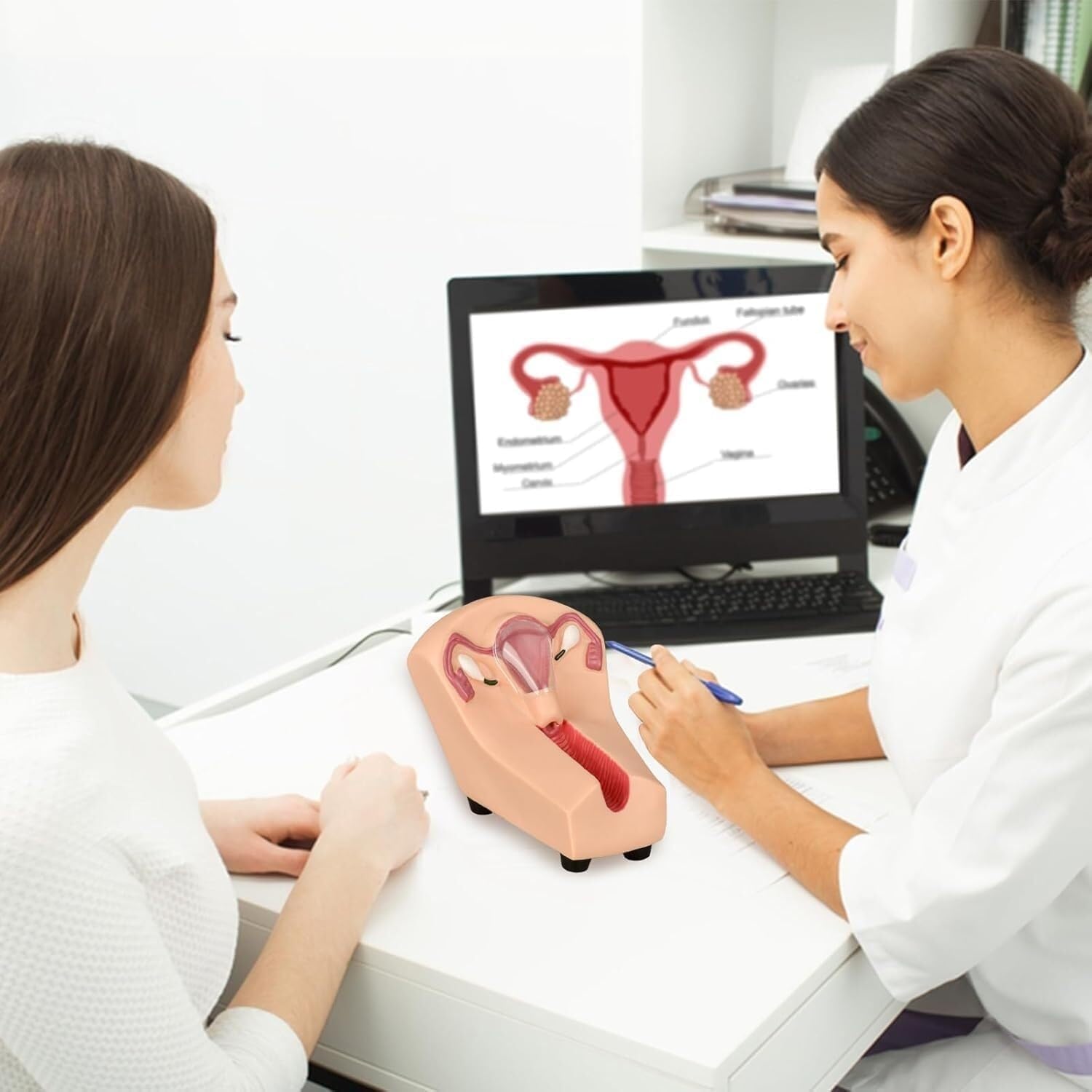 Modello intrauterino di addestramento contraccettivo del simulatore per l'infermieristica di ginecologia, modello traslucido di orientamento della contraccezione dell'utero
