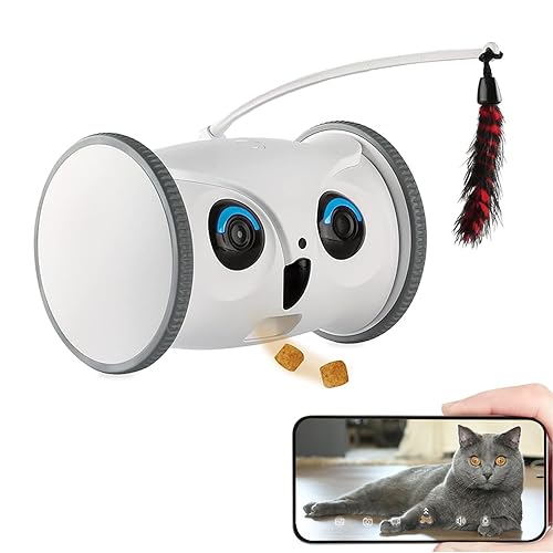 SKYMEE Owl Robot