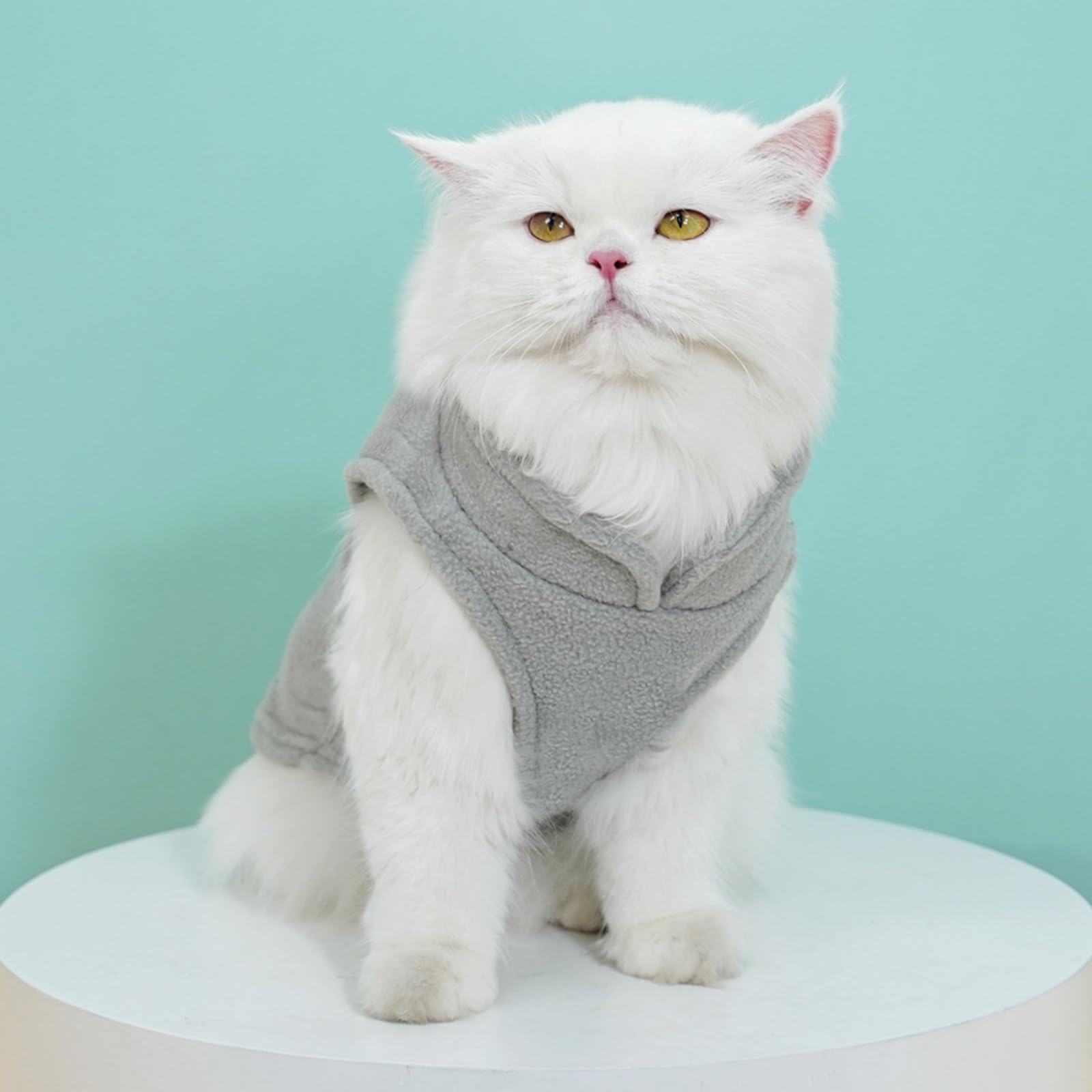 2 Pièces Pull Chien,Pull-Overs avec Anneaux en D Veste d'hiver pour Chien Manteau d'hiver pour Chiens Manteau pour Petite Taille Veste Vetement pour Chihuahua（Noir, Gris） S
