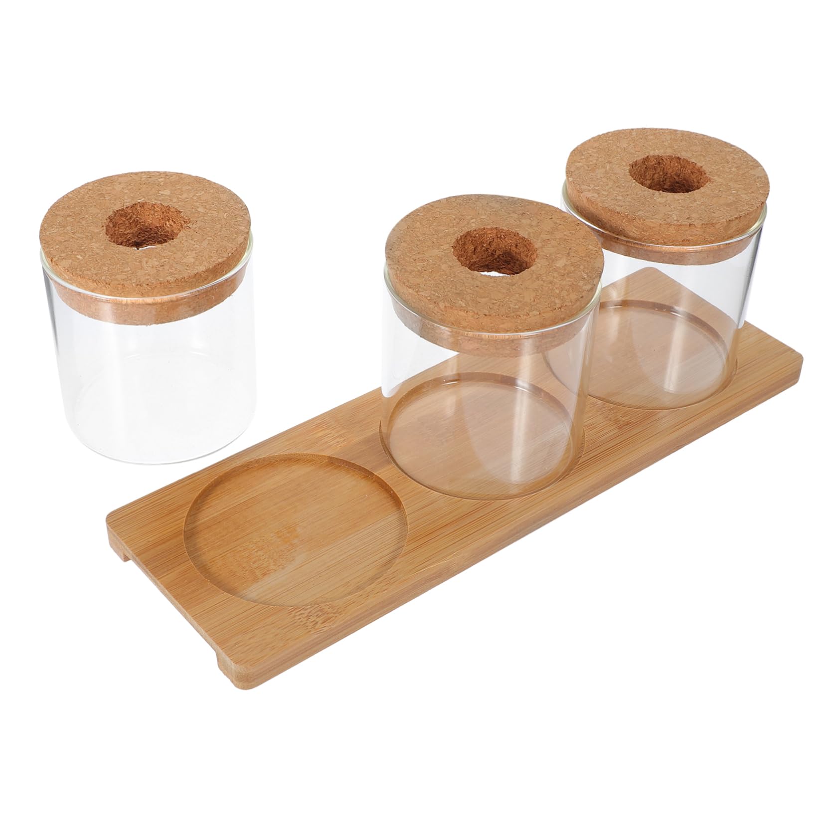 Milisten Vase de Propagation Hydroponique de Vases avec Support pour Plantes Intérieur et Décoration de Terrarium
