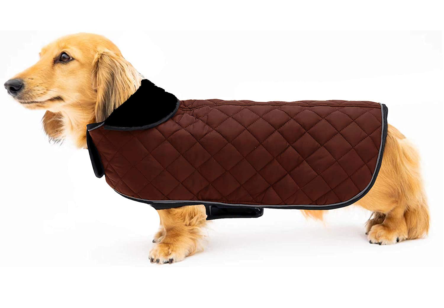 See full amazon price history chart for Petslover Dog Coats - Cold Weather Dog Jacke -Coat Sweater Hoodie Outwear Apparel, Pockets, Rain/Water Resistant, Adjustable Drawstring Petslover Dog Coats - Cold Weather Dog Jacke -Coat Sweater Hoodie Outwear Apparel, Pockets, Rain/Water Resistant, Adjustable Drawstring (B08V98FFVR) Amazon Price History, Amazon Price Tracker